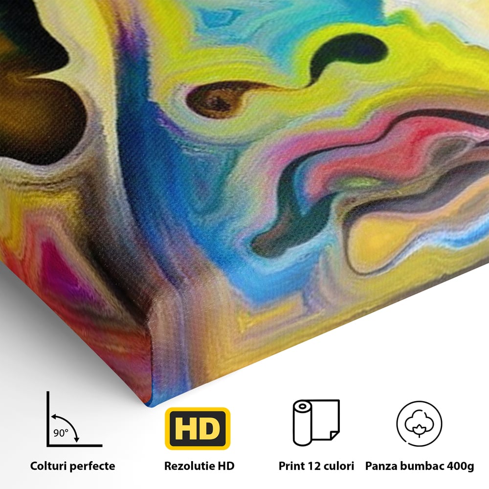 Detaliu al suprafetei: tablou canvas cu chip abstract si fluture, fara rama, pe sasiu de lemn